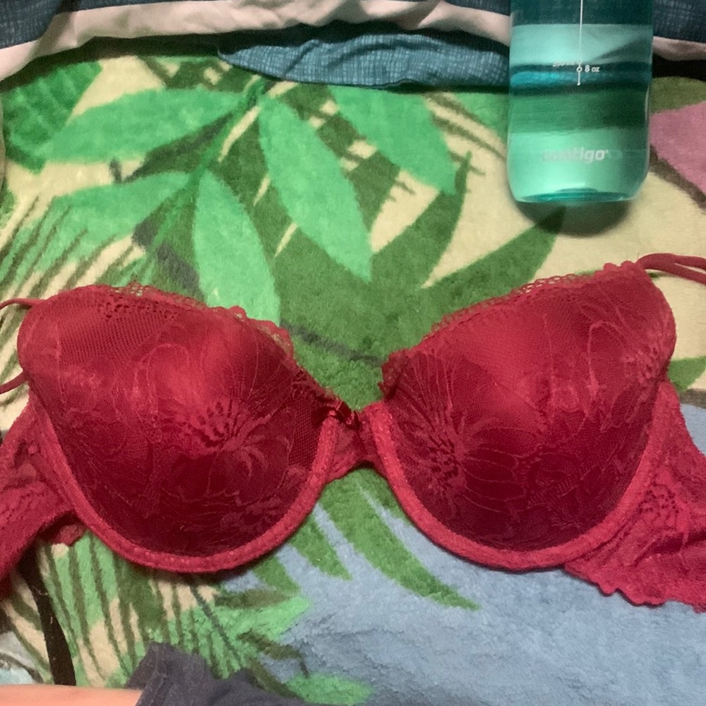 Wine Red lace George Bra